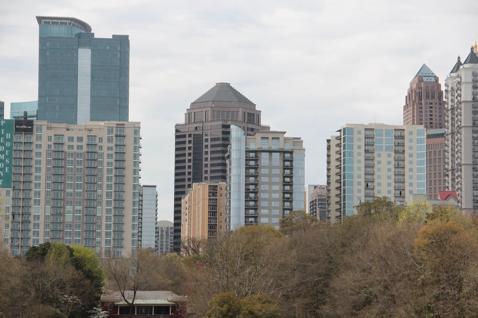 Midtown Atlanta's towers rising above the trees of Piedmont Park