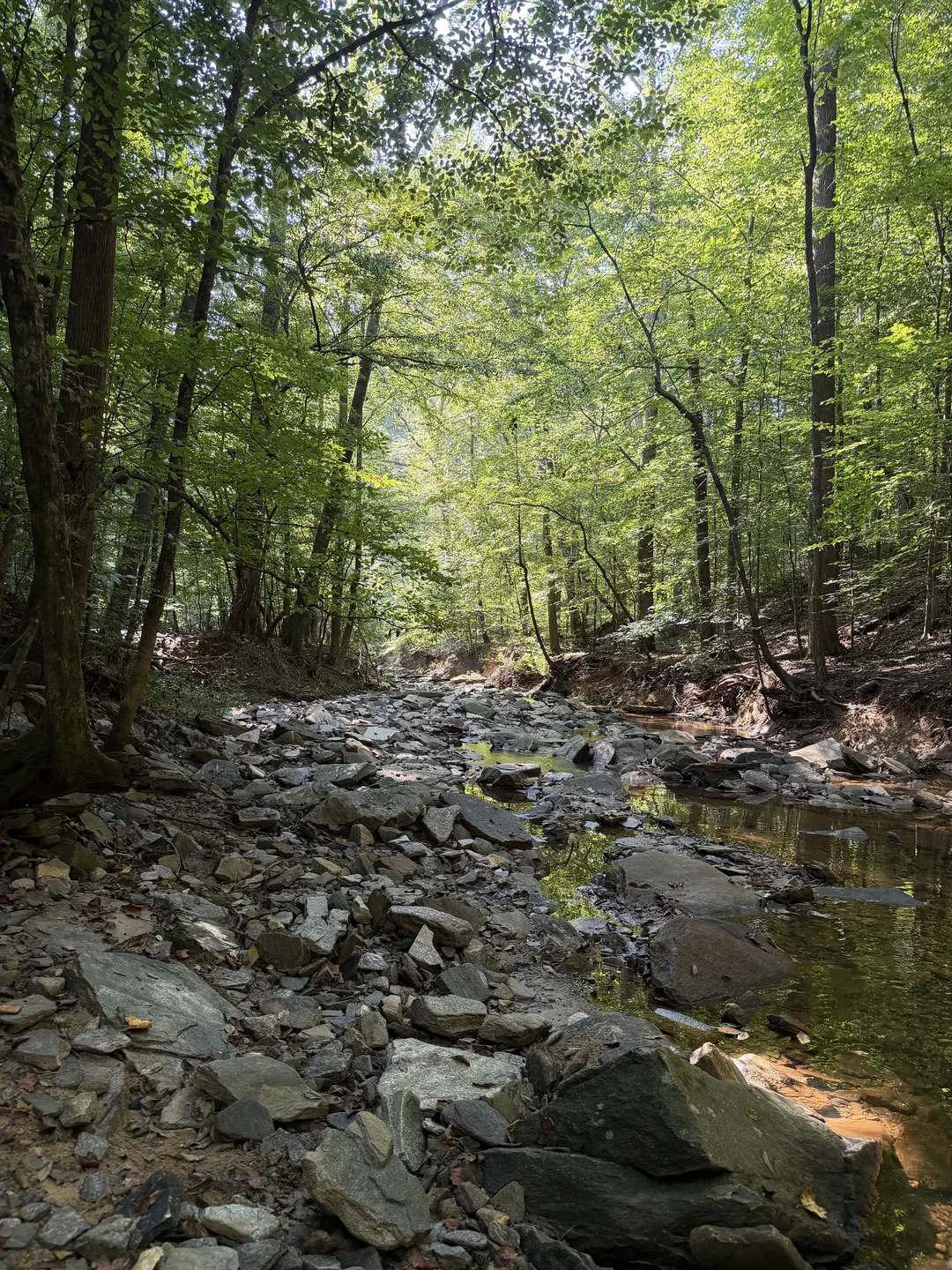Terrell Mill Creek running over slate rocks under tall green trees in East Cobb